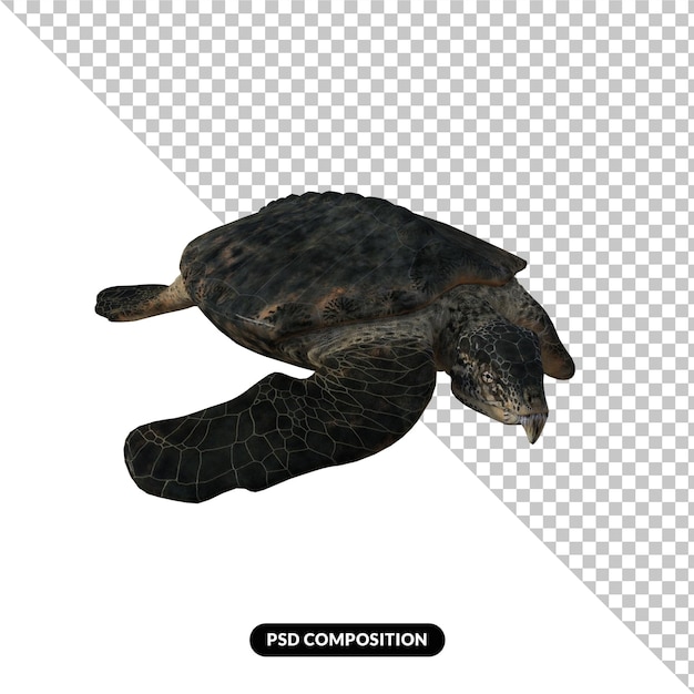 Archelon isolierter Dinosaurier 3D-Rendering