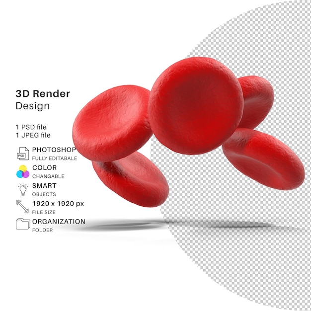 Archivo PSD de modelado 3D de glóbulos rojos Realista