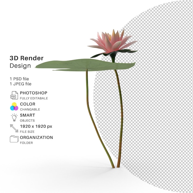 Archivo psd de modelado 3d de lirio de agua realista