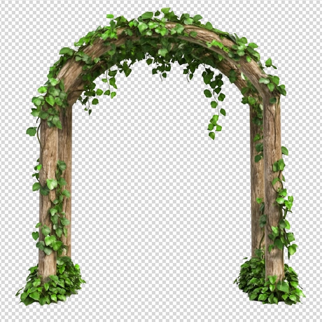 Arco de madera con vides verdes