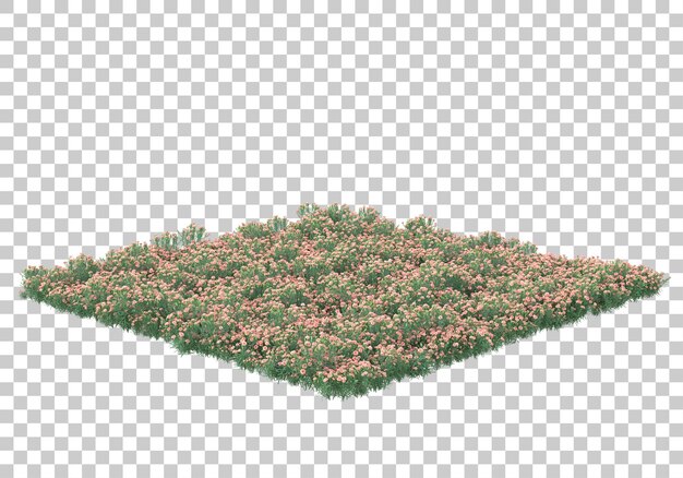 Area hijau dengan bunga di latar belakang transparan, ilustrasi render 3D