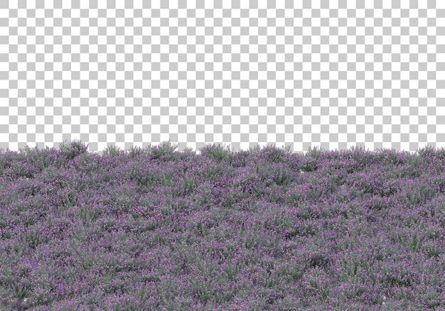 Área verde com flores na ilustração de renderização 3d de fundo transparente