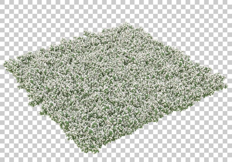 PSD área verde com flores na ilustração de renderização 3d de fundo transparente