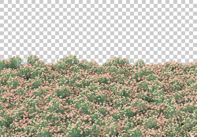Área verde con flores sobre fondo transparente Ilustración de renderizado 3d