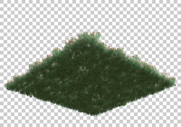 Área verde con flores sobre fondo transparente Ilustración de renderizado 3d