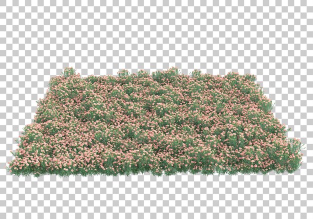 Área verde con flores sobre fondo transparente Ilustración de renderizado 3d