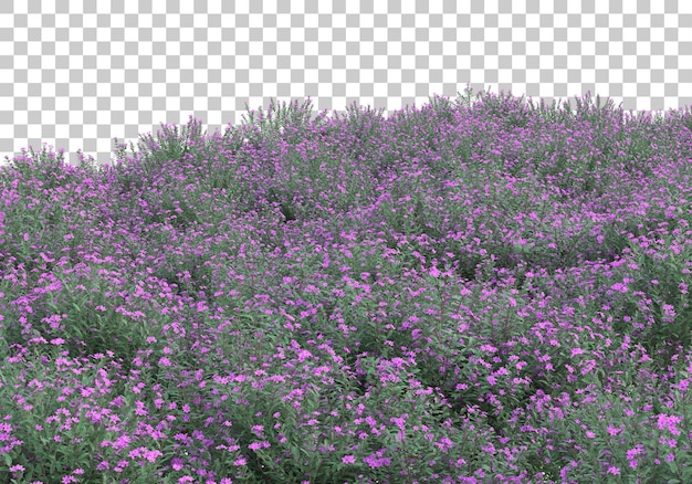 Área verde con flores sobre fondo transparente Ilustración de renderizado 3d