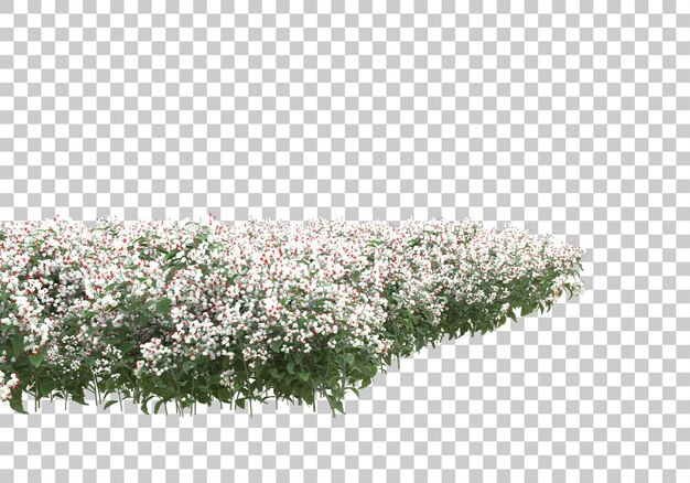 Área verde con flores sobre fondo transparente Ilustración de renderizado 3d