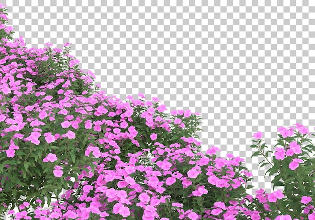 Área verde con flores sobre fondo transparente ilustración de renderizado 3d