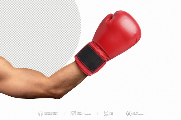 Arm extended wearing red boxing glove On Transparent Background PSD