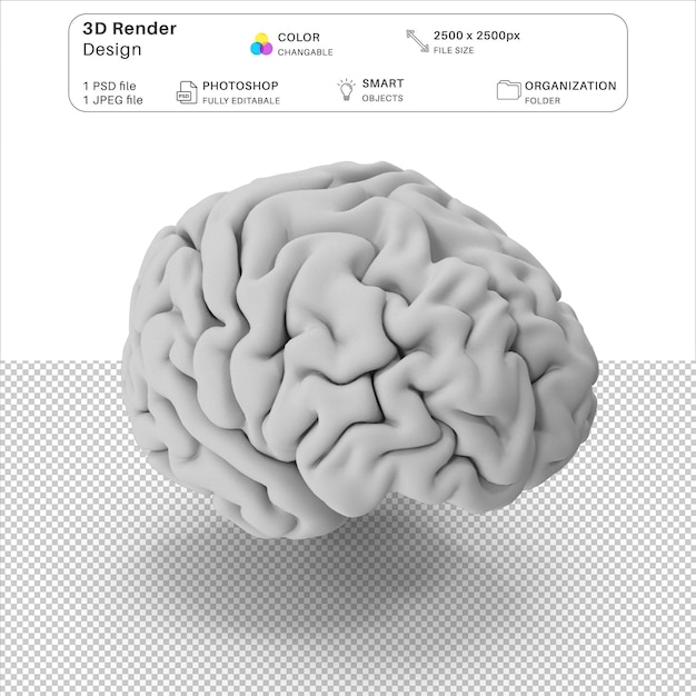 Arquivo PSD de modelagem 3D do cérebro humano