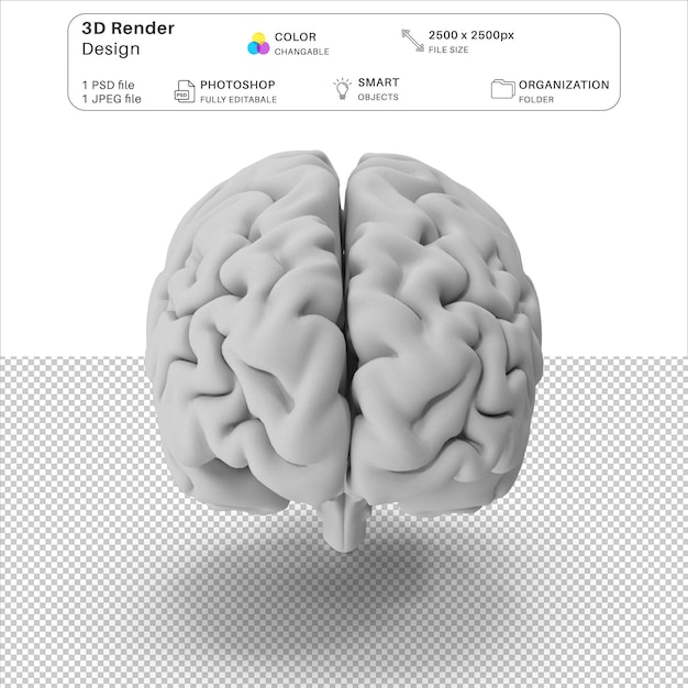 Arquivo PSD de modelagem 3D do cérebro humano