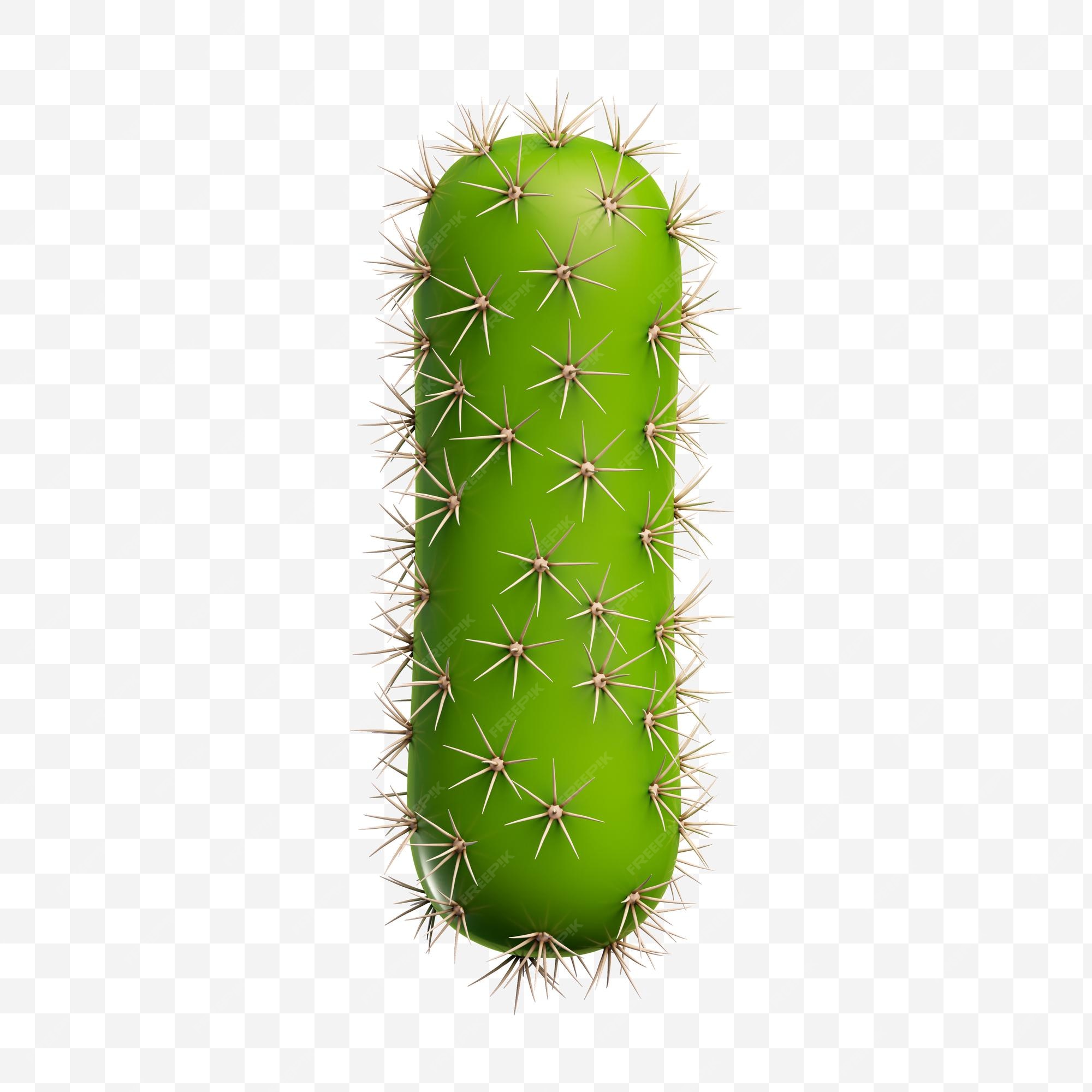 Cactus PNG Images, Vetores E Arquivos PSD