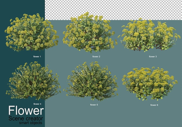 Arrangement d'arbustes dans de nombreux types de fleurs