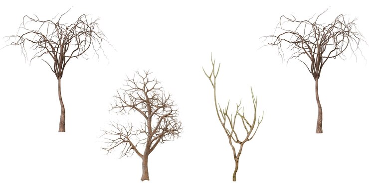 PSD arrangement de branches florales séchées set de quatre