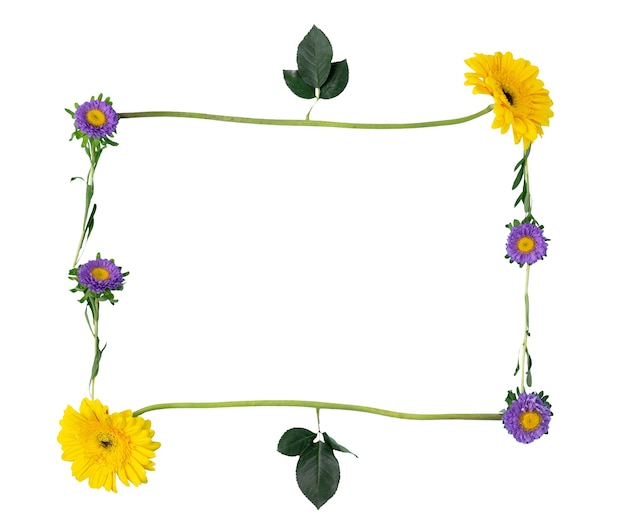 Arrangement floral isolé sur fond blanc