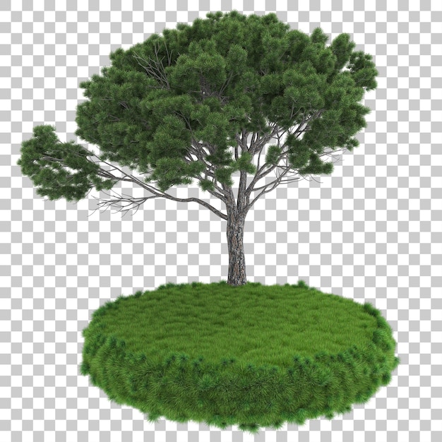 Arrangement de forêt sur fond transparent illustration de rendu 3d