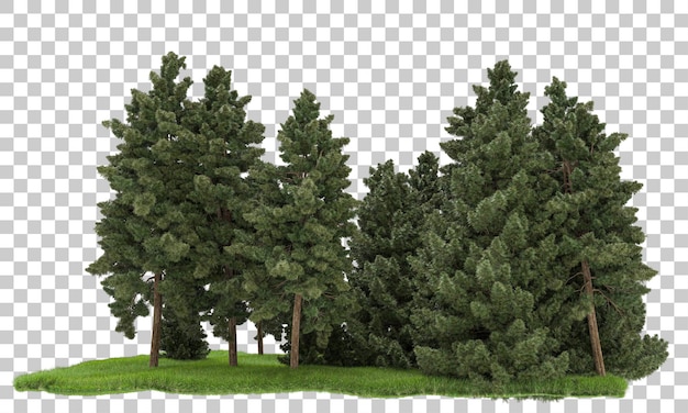 PSD arrangement de forêt sur fond transparent illustration de rendu 3d