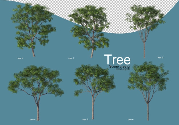 arrangement of various types of trees in different colors