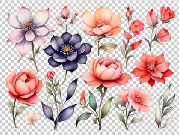 PSD arranjo floral de aquarela png