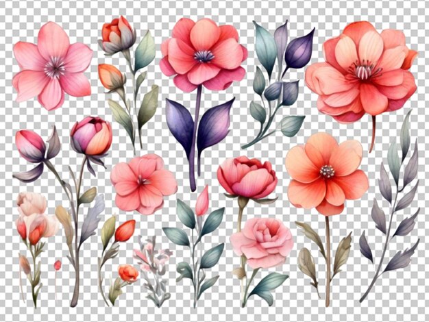 PSD arranjo floral de aquarela png