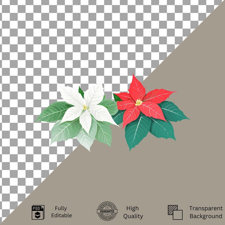 PSD arreglo elegante de las poinsettias