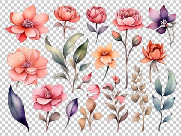 PSD arreglo floral de acuarela png