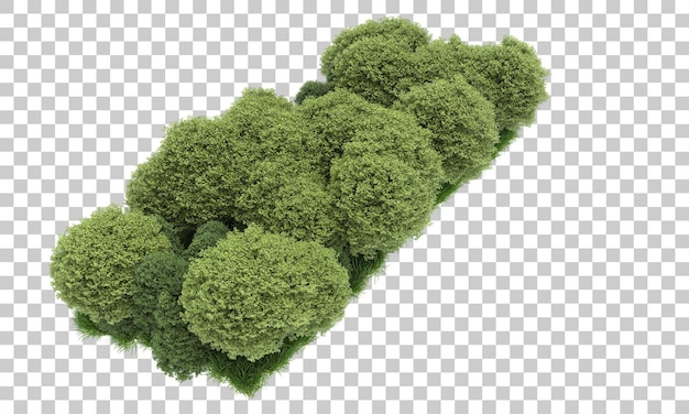 Arreglo de Forrest en la ilustración de renderizado 3d de fondo transparente
