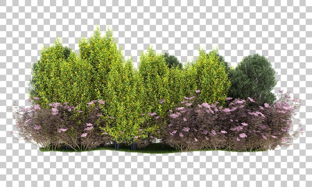 Arreglo de Forrest en la ilustración de renderizado 3d de fondo transparente