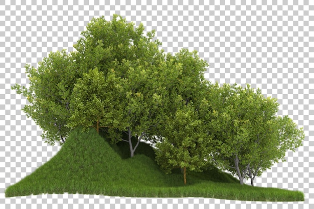 Arreglo de Forrest en la ilustración de renderizado 3d de fondo transparente