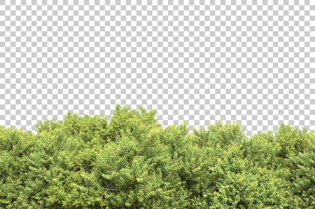 Arreglo del paisaje aislado en la ilustración de representación 3d de fondo transparente