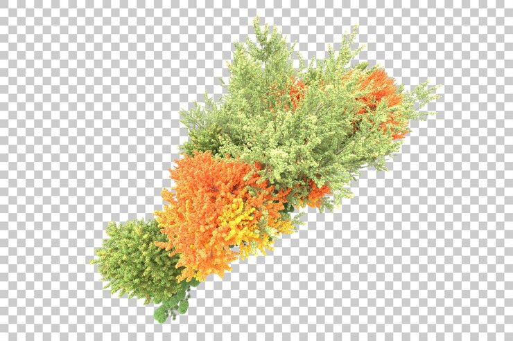PSD arreglo del paisaje aislado en la ilustración de representación 3d de fondo transparente