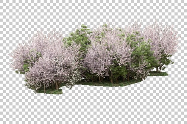 Arreglo del paisaje aislado en la ilustración de representación 3d de fondo transparente