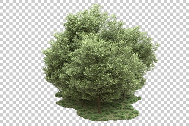 Arreglo del paisaje aislado en la ilustración de representación 3d de fondo transparente
