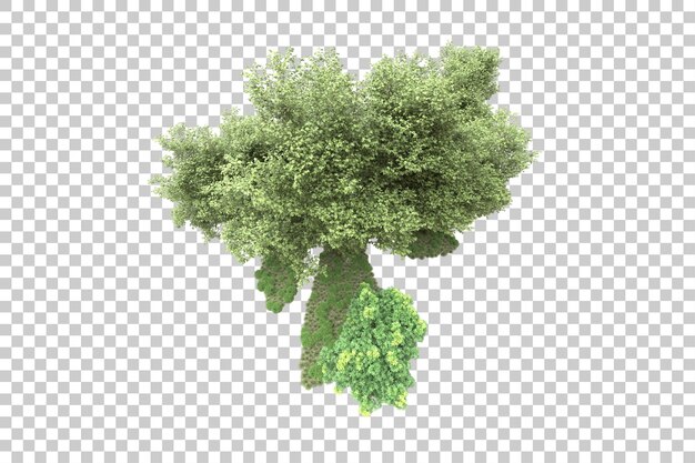 Arreglo del paisaje aislado en la ilustración de representación 3d de fondo transparente