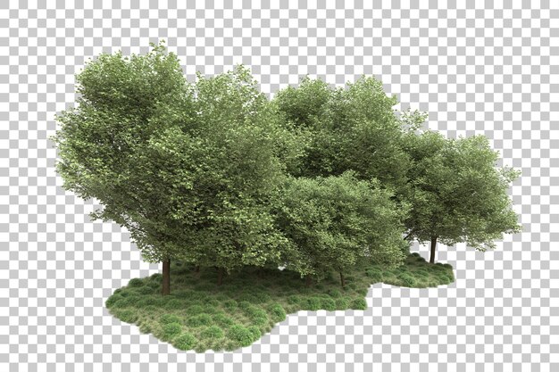 Arreglo del paisaje aislado en la ilustración de representación 3d de fondo transparente