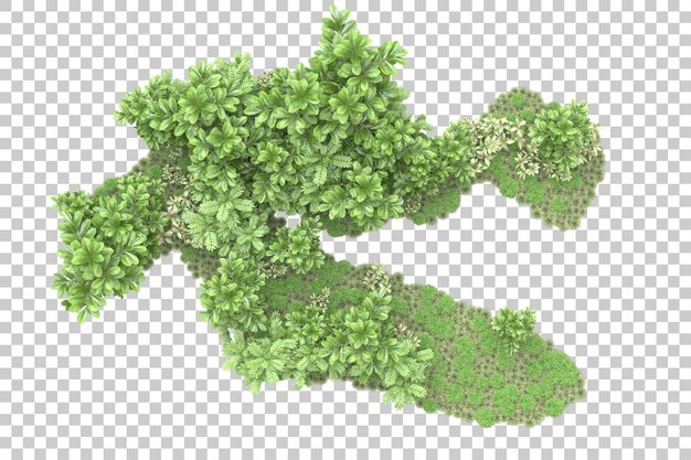 Arreglo del paisaje aislado en la ilustración de representación 3d de fondo transparente
