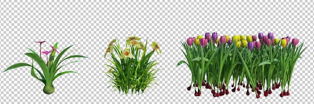 Arrière-plan de coupe isolée d'arbustes et de fleurs en 3D