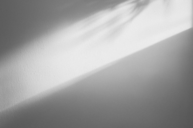 Arrière-plan esthétique avec ombre sur le mur ordinaire pendant l'heure d'or PSD