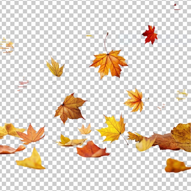 PSD arrière-plan des feuilles d'automne