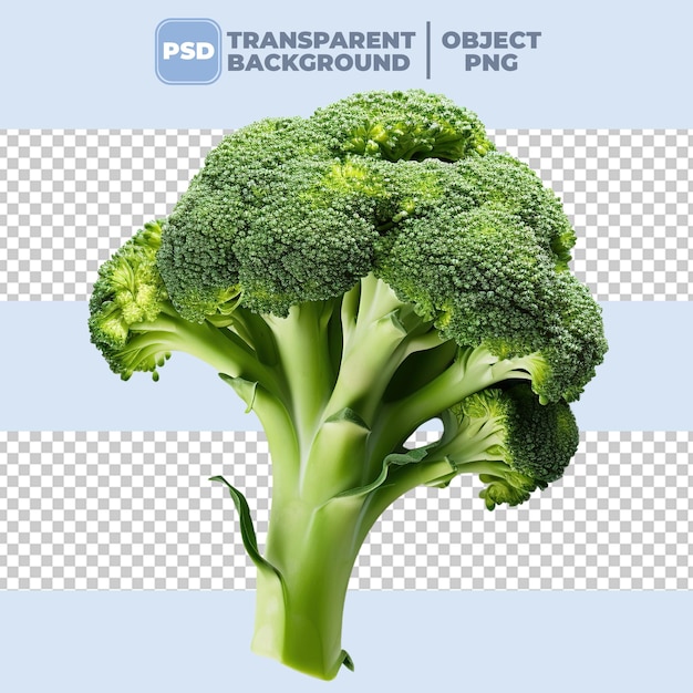 Arrière-plan transparent en PNG de brocoli PSD