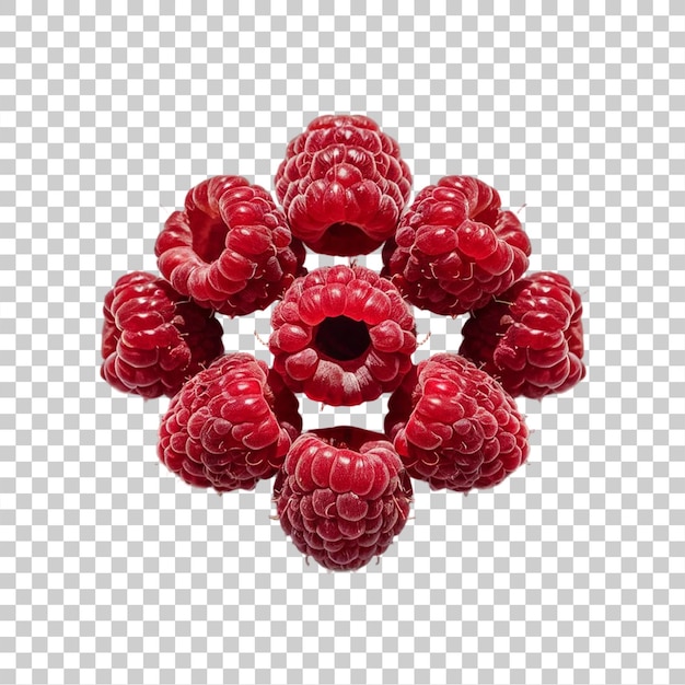 Arrière-plan transparent PNG isolé de framboise