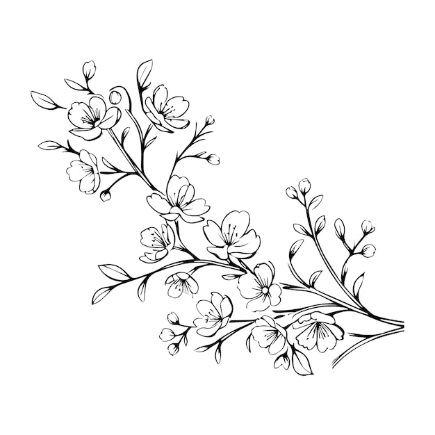 l'art de la ligne florale