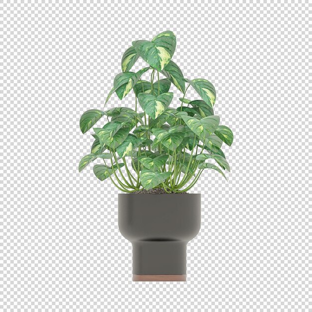 Art de plantes vertes maquettes 3d plantes d'intérieur dans des fleurs