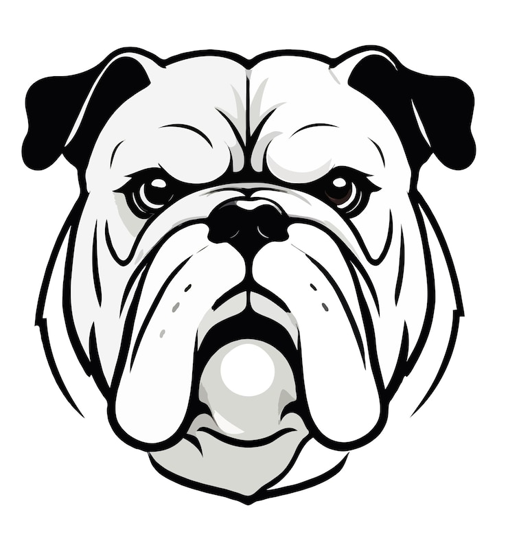 PSD l'art vectoriel du bulldog anglais l'illustration graphique urbaine moderne de l'animal