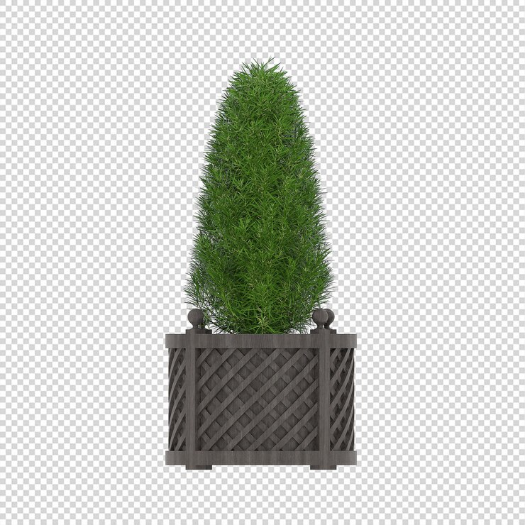 PSD arte de plantas verdes maquetas de plantas de interior en 3d en flores