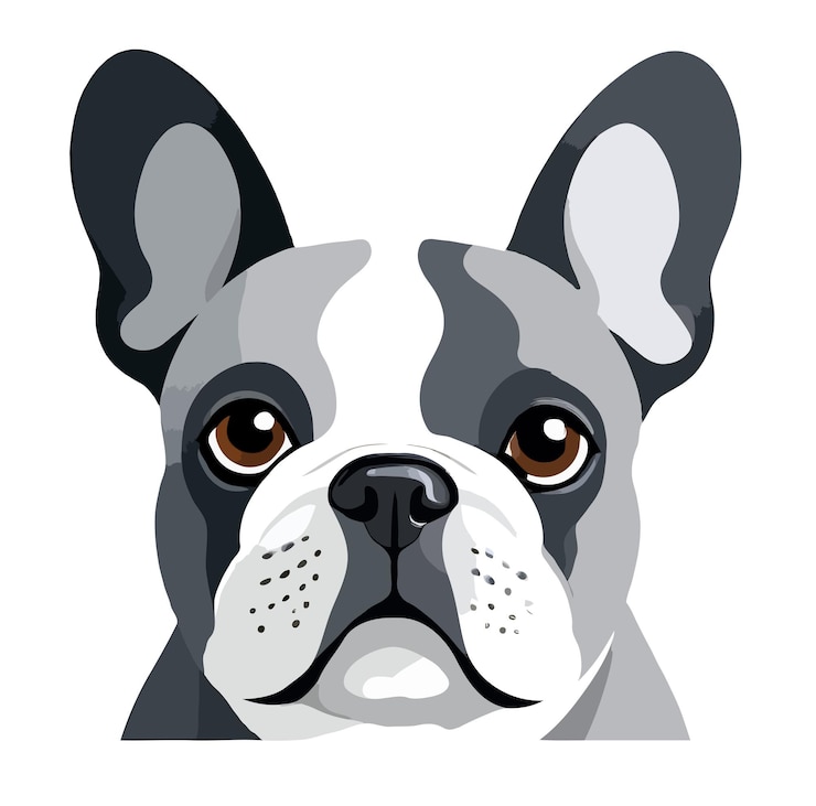 PSD arte vectorial de bulldog francés ilustración gráfica urbana moderna de animales