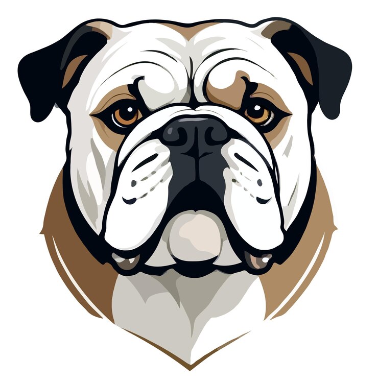 PSD arte vetorial bulldog animal ilustração gráfica urbana moderna