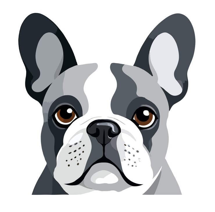 PSD arte vetorial de buldogue francês ilustração gráfica urbana moderna de animais