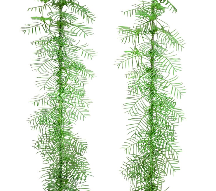 PSD artificial aquatic plant two green plants on a transparent background green hanging plants vines